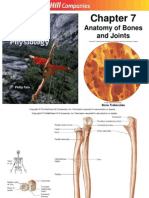 Skeletal System Lecture Part 2