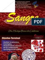 Presentacion de Sangre