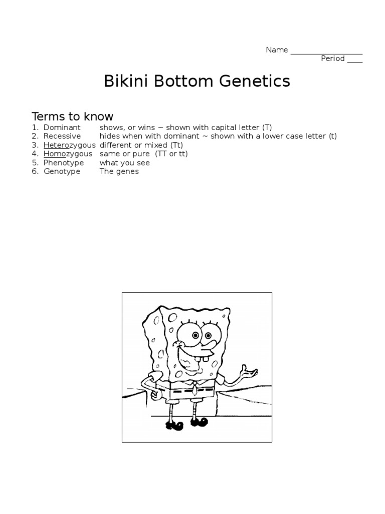 Bikini Bottom Name Genotype Dominance