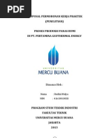 Download Proposal Permohonan Kerja Praktek KPdiPertamina Geothermal Energy  by Rudini Mulya SN156435687 doc pdf