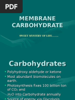 Download Membrane Carbohydrate a brief study by forgetme_not059753 SN15647185 doc pdf