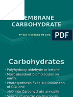 Membrane Carbohydrate A Brief Study
