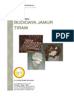 Investasi Budidaya Jamur Tiram