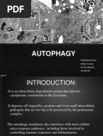 Download Autophagyppt by Aditya Kanwal SN156516718 doc pdf
