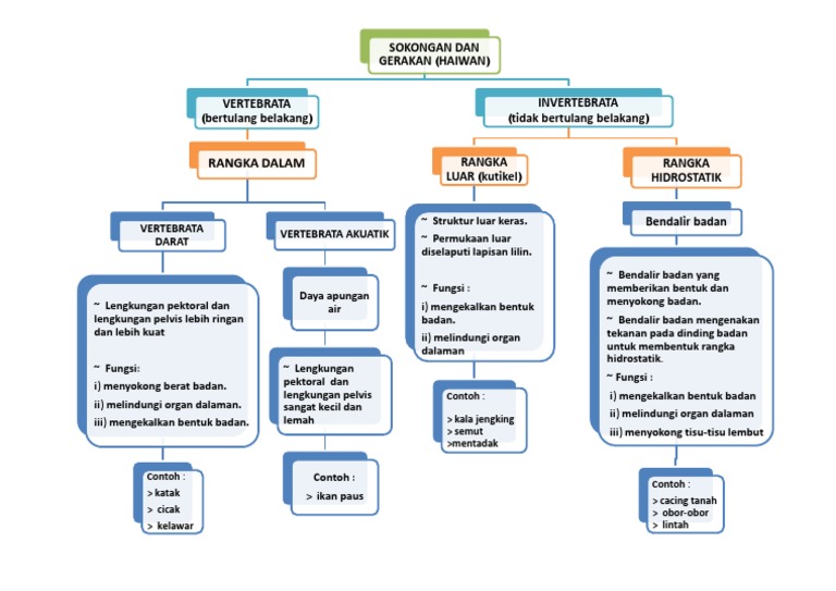 Sistem Sokongan Haiwan Pdf