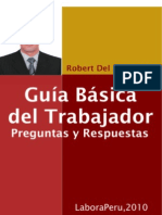 Guia Basica Trabajador Robert Del Aguila