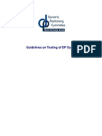 Guidelines On Testing DP Systems