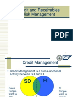 Credit & Receivables Risk Mgmt