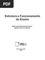 Estrutura e Funcionamento Do Ensino Aula 1