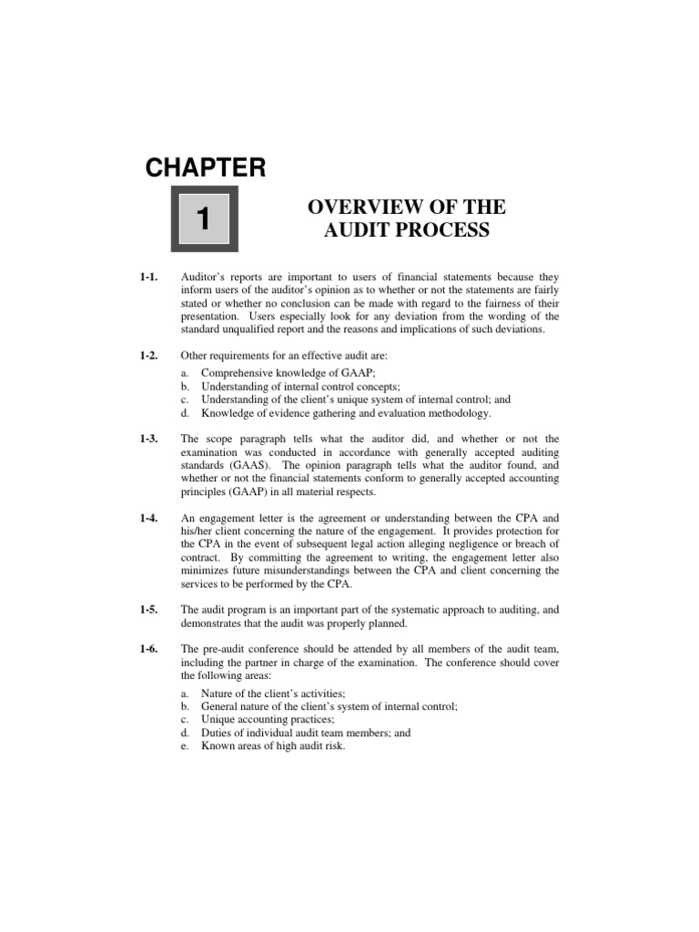 Chapter01 - Overview of The Audit Process | PDF