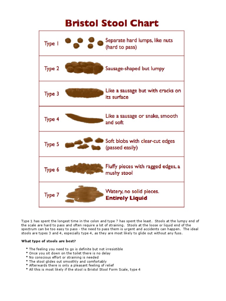 bristol stool chart | pdf | constipation | human feces