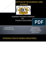 Summer Training Seminar ON Raneka Industries