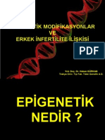 Epigenetik Modifikasyonlar Ve Erkek Infertilitesi