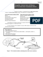 Clinical Spinal