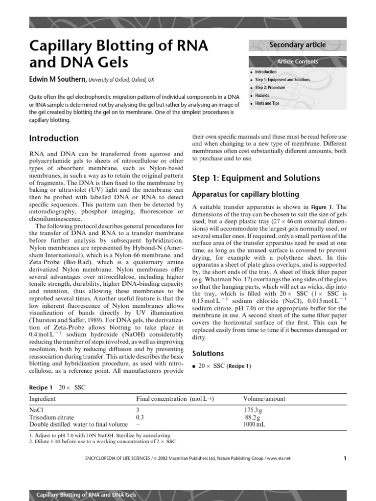 Capillary Blotting of RNA and DNA Gels PDF | PDF