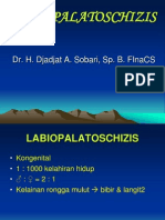 Referat LABIOPALATOSCHIZIS