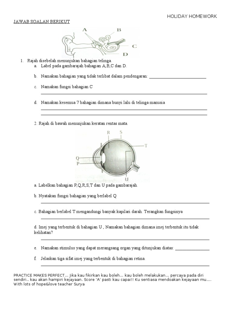 Latihan Sains Tingkatan 2 Bab Satu Pdf