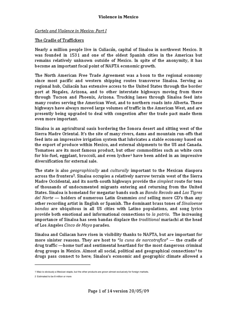 essays on mexican drug cartels