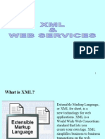 29847191-XML