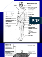 Sirosis Hepatis