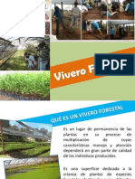 Qué Es Un Vivero Forestal