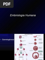 6774682-Embriologia-A1