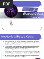 Biologia Celular Organelas