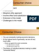 Consumer Choice 3