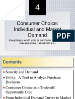 Consumer Choice 4