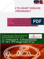 Heart Diz in Pregnancy2013O&Gperlis
