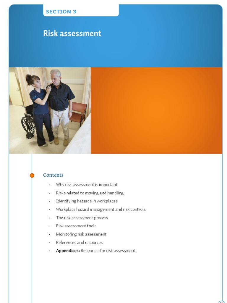 Risk Assessment: Section 3 | Download Free PDF | Caregiver | Risk