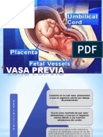 vasaprevia-110926011743-phpapp01