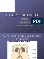 Presentacion Sistema Urinario