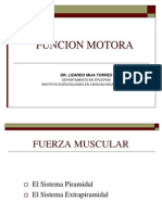 Función motora 40