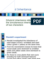 Dihybrid Inheritance: Dihybrid Inheritance Refers To The Simultaneous Inheritance of Two Characters