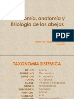 Taxonomia de Las Abejas