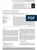 From Oil Refinery To Microalgal Refinery