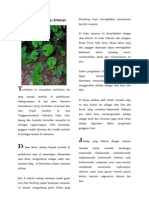 Download Manfaat Daun Jalukapdocx by M Al-Fatih Habibi Hasri SN156964767 doc pdf