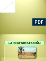La Desforestación presentacion 1