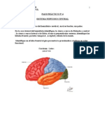 TERAPIA PASO Nª 5  DE SISTEMA NERVIOSO CENTRAL