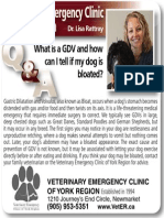 What Is GDV and How Can I Tell If My Dog Is Bloated?