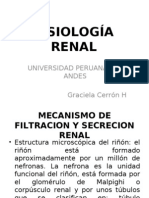 Fisiologia Renal