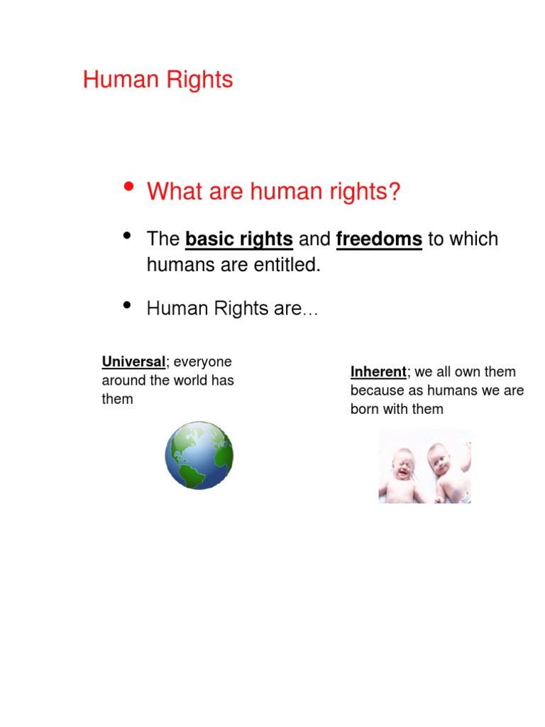 Understanding Human Rights Basics | PDF | Human Rights | Natural And ...