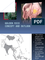 Golden Rice - Potential and Outlook