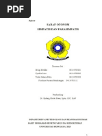 Download Refrat Saraf Otonom Simpatis Dan Parasimpatis by Cuntia SN157007479 doc pdf