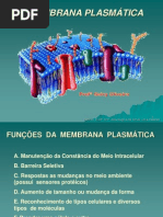 2 AULA  membrana plasmática