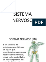 Aula Sistema Nervoso