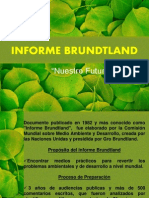 Informe Brundtland
