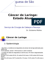 Aula Câncer de Laringe-Dr Giulianno Molina HBP