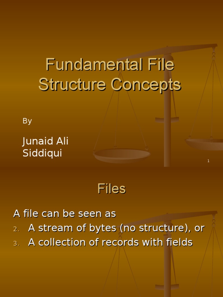 File Structure and Organization Concepts | PDF | Database Index ...
